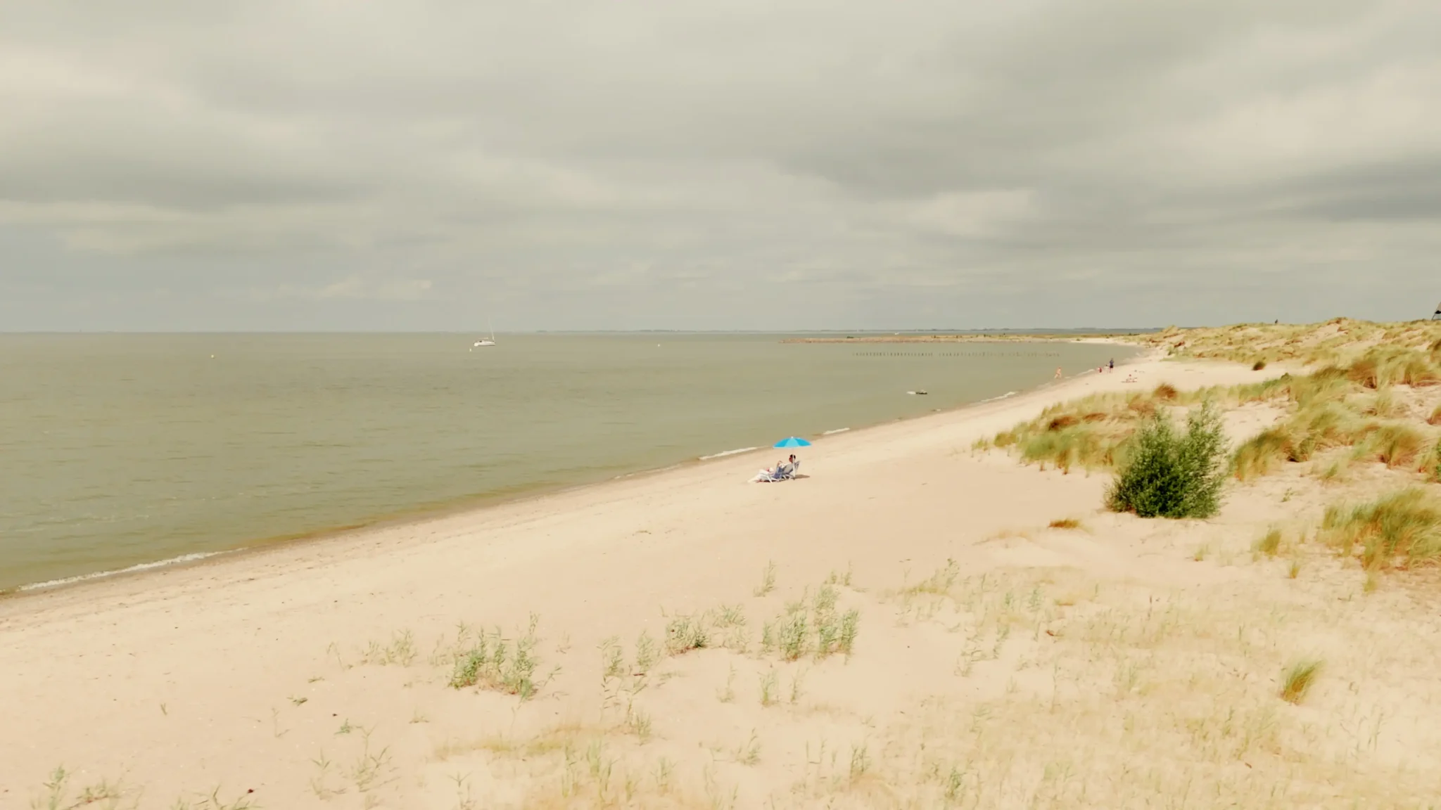 STILL 5